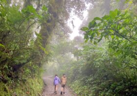 10 things to do in Monteverde with kids