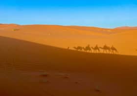 We highly recommend this 2 night Moroccan Sahara camel trek